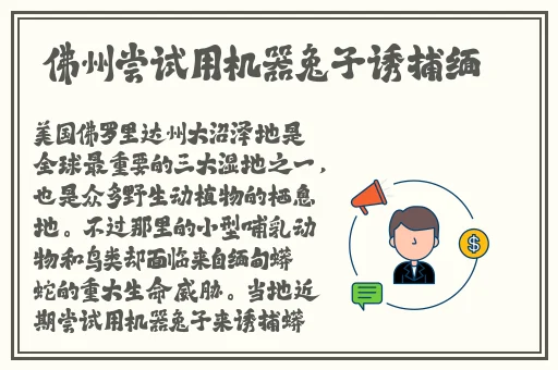 无翼漫全彩无遮拦